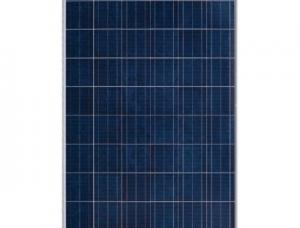 Painel Solar de 265W Canadian Solar CS6P-265P